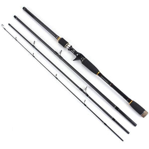 Fast Action Fishing Rod