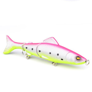 Minnow Fishing Lure